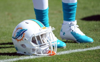 Miami Dolphins Ultra HD Wallpapers 8K Resolution 7680x4320 And 4K Resolution