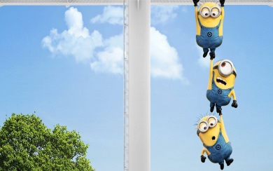 Minions Live Free HD Pics for Mobile Phones PC
