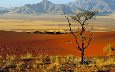 Namibia 3D Desktop Backgrounds PC & Mac