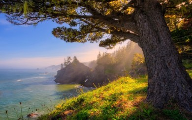 Oregon Free Wallpapers for Mobile Phones