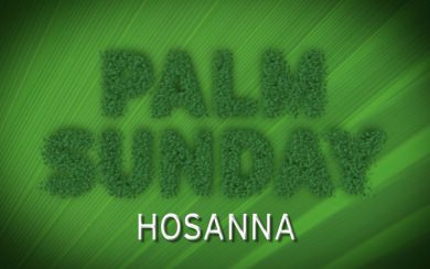 Palm Sunday 4K Wallpapers for WhatsApp DP