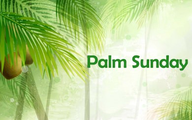 Palm Sunday Download Best 4K Pictures Images Backgrounds