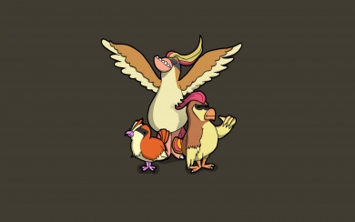 Pidgey 4K Background Pictures In High Quality