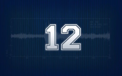 Seattle Seahawks iPhone 11 Back Wallpaper in 4K 5K