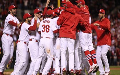 St. Louis Cardinals Download HD 1080x2280 Wallpapers Best Collection