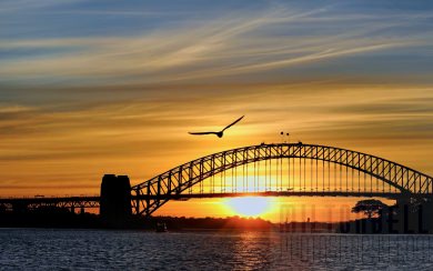 Sydney Harbour Bridge iPhone 11 Back in 4K 5K