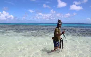 Tuvalu Mangroves Download Best 4K Pictures Images Backgrounds