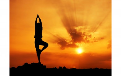 Yoga Live Free HD Pics for Mobile Phones PC