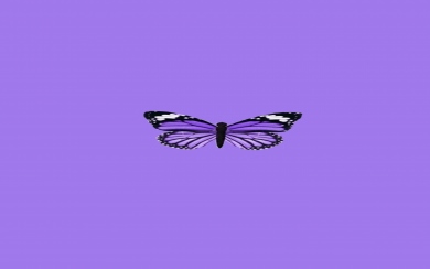 Aesthetic Purple Butterfly In 3D