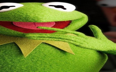 Funny Kermit iPhone iPad Wallpapers