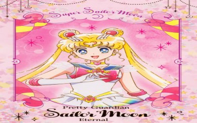 Pretty Guardian The Sailor Moon