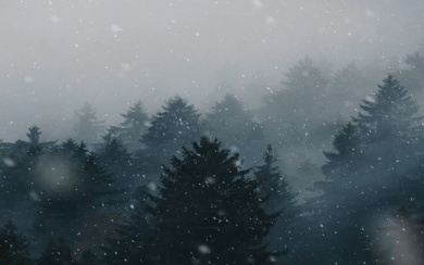 Animated Forest Snow 4k-8k