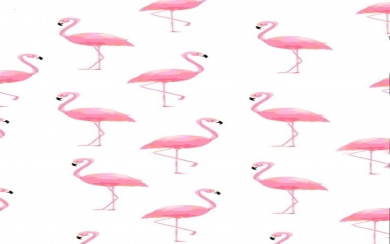 Cute Flamingos Collage