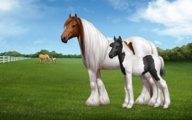 Beautiful White Horse And Pony 2022 Live 4k 1080x1920 2560x1700 Best 4k 8k 50k 70k 100k