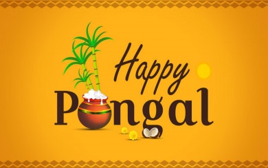 Happy Pongal 4k background PC, laptop, iPhone, iPhone x, iPhone xs, iPhone 13, iPhone 12, iPhone 11, iPhone 10, android phones
