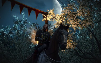 video game the witcher 3 wild hunt 3 4K wallpapers