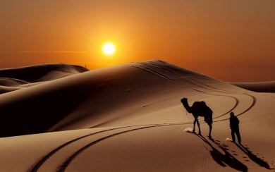 Camel Sand Dunes Sun 2022 Wallpapers 4K