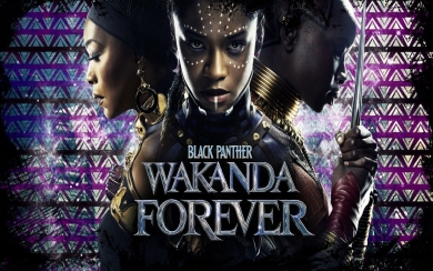 Black Panther Wakanda Forever 2022 iPhone 10