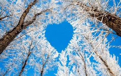 Heart Shaped Trees 8k wallpaper for Phone