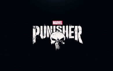 Marvels Punisher 4K Wallpaper for Phone