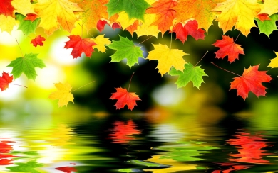 Autumn Colorful Wallpapers