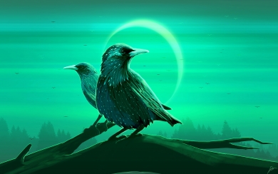 Starling Eclipse HD wallpapers for Mobile 1920x1080