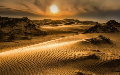 Desert Sand HD best mobile wallpapers