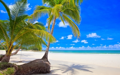 Escape to Paradise with Seychelles Android Wallpaper HD 1080p