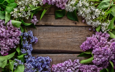 Lilac Frame Wooden Background HD Wallpaper for home screen