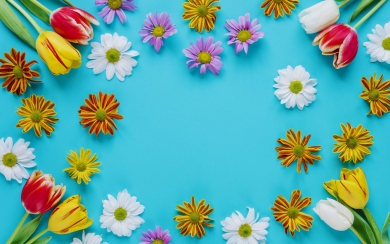 Springtime Joy HD Wallpapers of Flower Frames and Spring Bloom