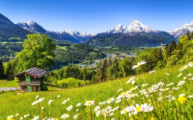 Summer Splendor German Alps HD Wallpaper