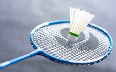 Badminton Racket Closeup HD Wallpaper