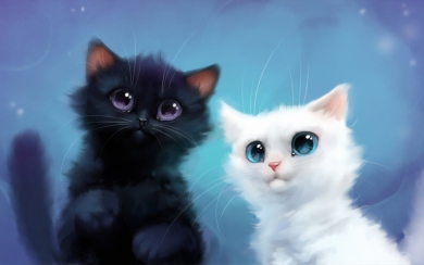 Black and White Cats Cute Animals in 3D Art HD Wallpaper