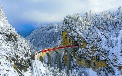 Jungle Railway Viaduct Switzerland 2021 Bing Theme HD Wallpaper