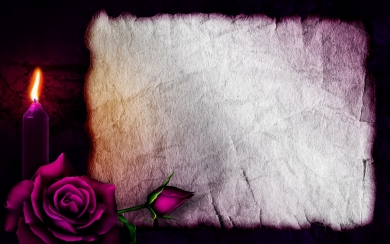 Old Blank Paper Macro Candle Purple Rose HD Wallpaper