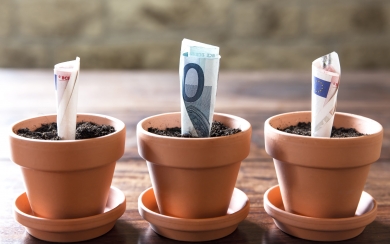 Watch Your Money Grow with a Cash Deposit Business Concept Wallpaper HD Wallpaper