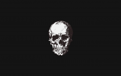 White Skull Minimal A Creative and Scary Artwork in HD Wallpaper