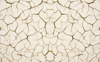 Cracked Soil Texture White Background Macro HD Wallpaper