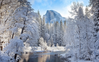 Winter Nature Ultra HD Wallpaper for Seasonal Enthusiasts