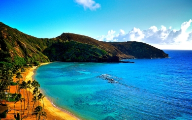 Coast of Hawaii Serene Beauty of Nature's Coastal Haven HD Wallpaper
