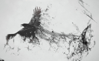 Raven Bird Art Majestic Avian Beauty HD Wallpaper