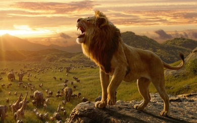 The Lion King Ultra HD Wallpaper for home screen