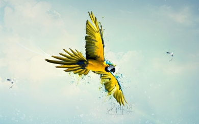 Vibrant Parrot Art HD Wallpaper for birds lover