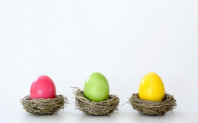 Creative Easter Eggs Whimsical Nests on a White Background HD Wallpaper