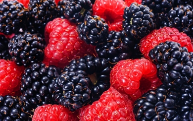 Blackberries HD 4K 2024 2025 Wallpaper