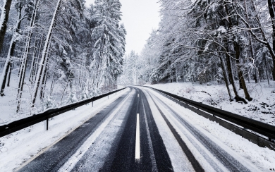 Black Forest Winter Serene iPad & iPhone 4K 2024 2025 HD Wallpaper