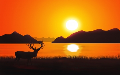 Reindeer Wilderness 4K 5K 6K HD Wallpaper
