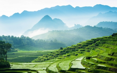 Rice Fields Mountain Landscapes HD 4K 5K 6K 7K Wallpaper