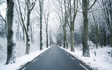 Winter Road Snow Covered Trees 4K 2024 2025 HD Wallpaper
