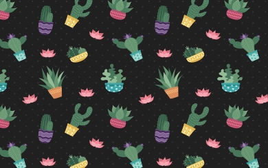 Cacti and Flowers Pattern 2025 HD Wallpaper